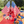Load image into Gallery viewer, Plastic American Flags - 6in x 4in - 12 pack