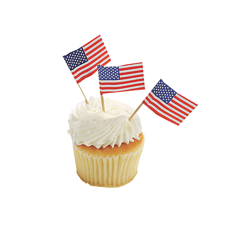 USA Flag Picks - 144pcs