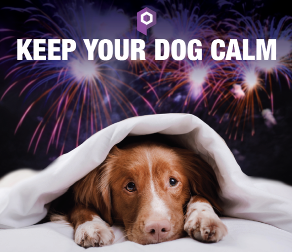 CALMING AID FOR DOGS (Bacon Flavor)