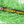 Load image into Gallery viewer, Soaring Streamer Poppers -1pc
